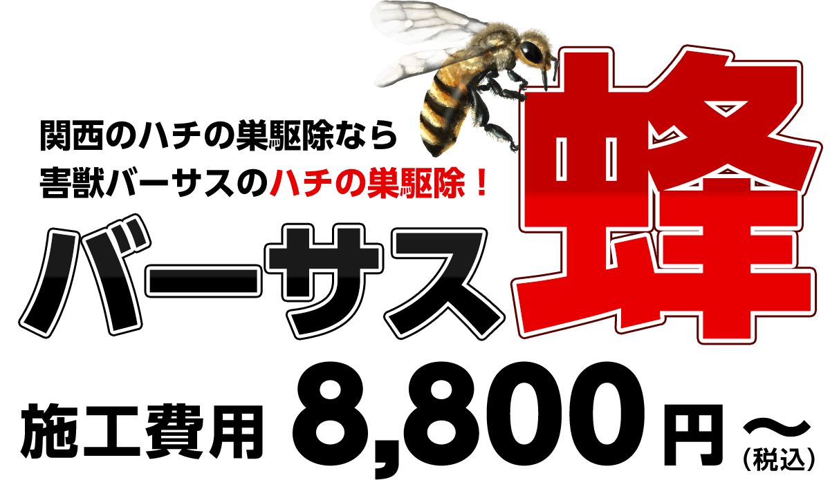 関西のハチの巣駆除なら害獣バーサスVS蜂