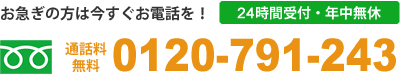 ハクビシン・イタチ・アライグマ・ネズミなど害獣駆除でお急ぎの方は害獣バーサスまでお電話でお気軽に!