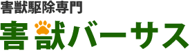 ハクビシン・イタチ・アライグマ・コウモリ・シロアリなど害獣駆除専門の害獣バーサス|害獣駆除対応エリア関東一円(東京、神奈川、千葉、埼玉、茨城、栃木、群馬)